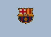 开云体育平台APP-跨界竞技场，浙江队单节风暴与保罗在意甲的焦点接管