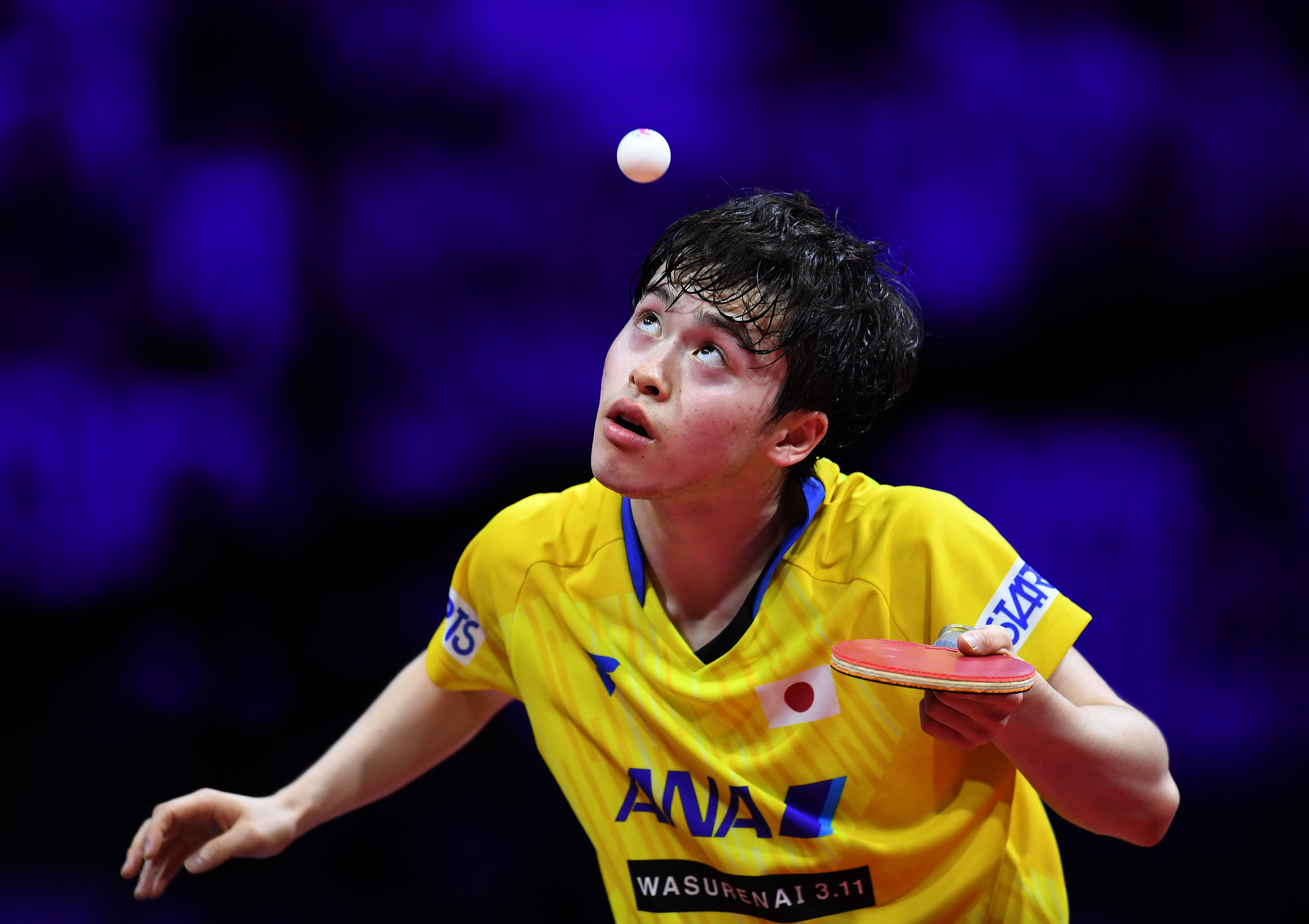 日本乒乓球队血洗韩国乒乓球队，波尔制霸全场的简单介绍