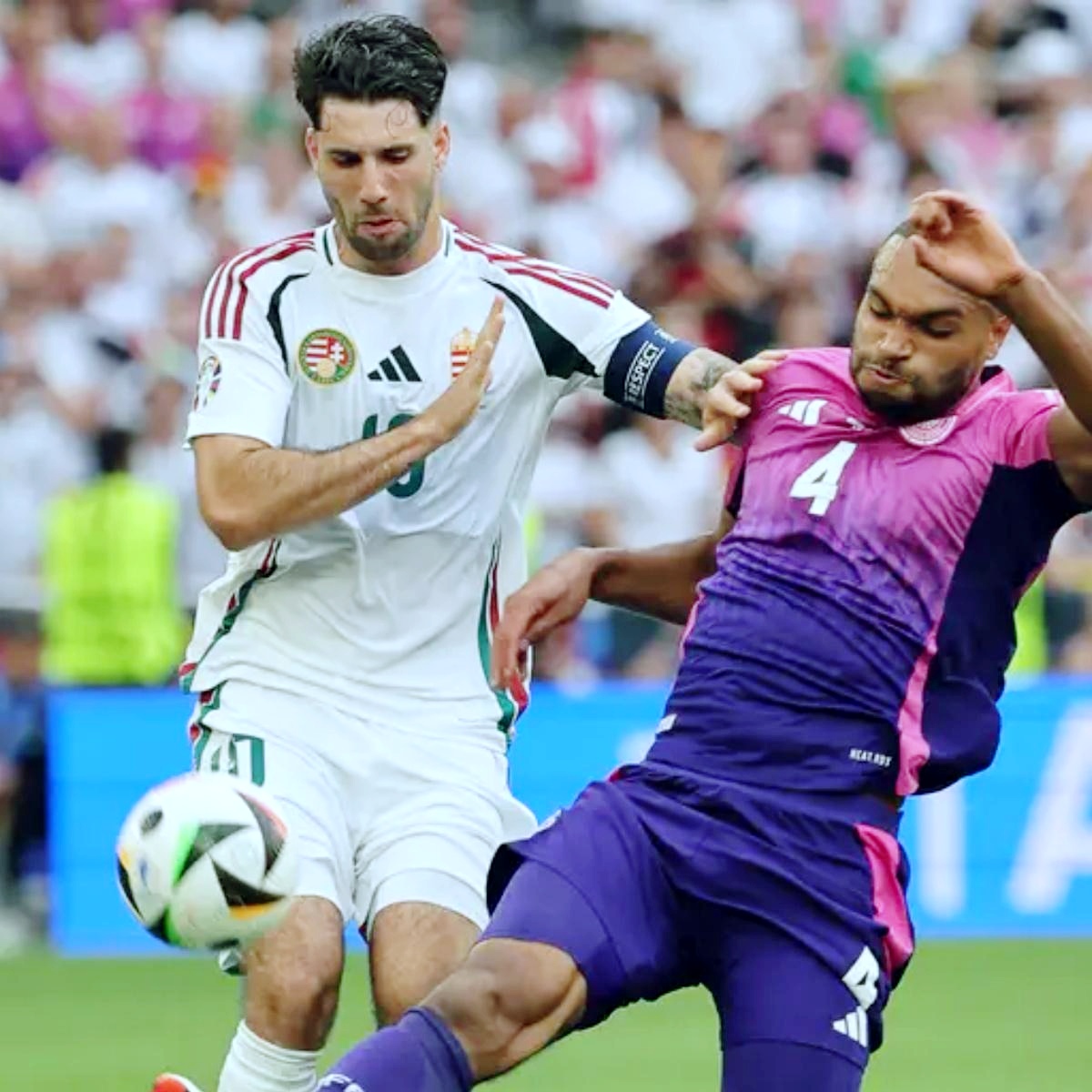 包含匈牙利队在比赛中表现突出，成功卫冕冠军的词条