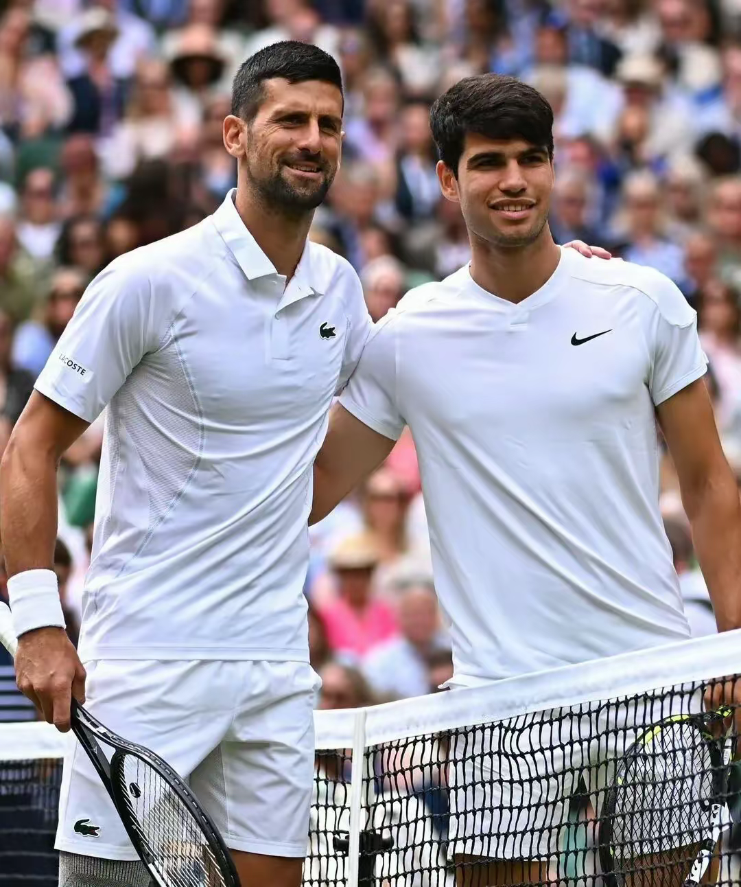 温网力克美网，阿尔卡拉斯扛起全队的简单介绍