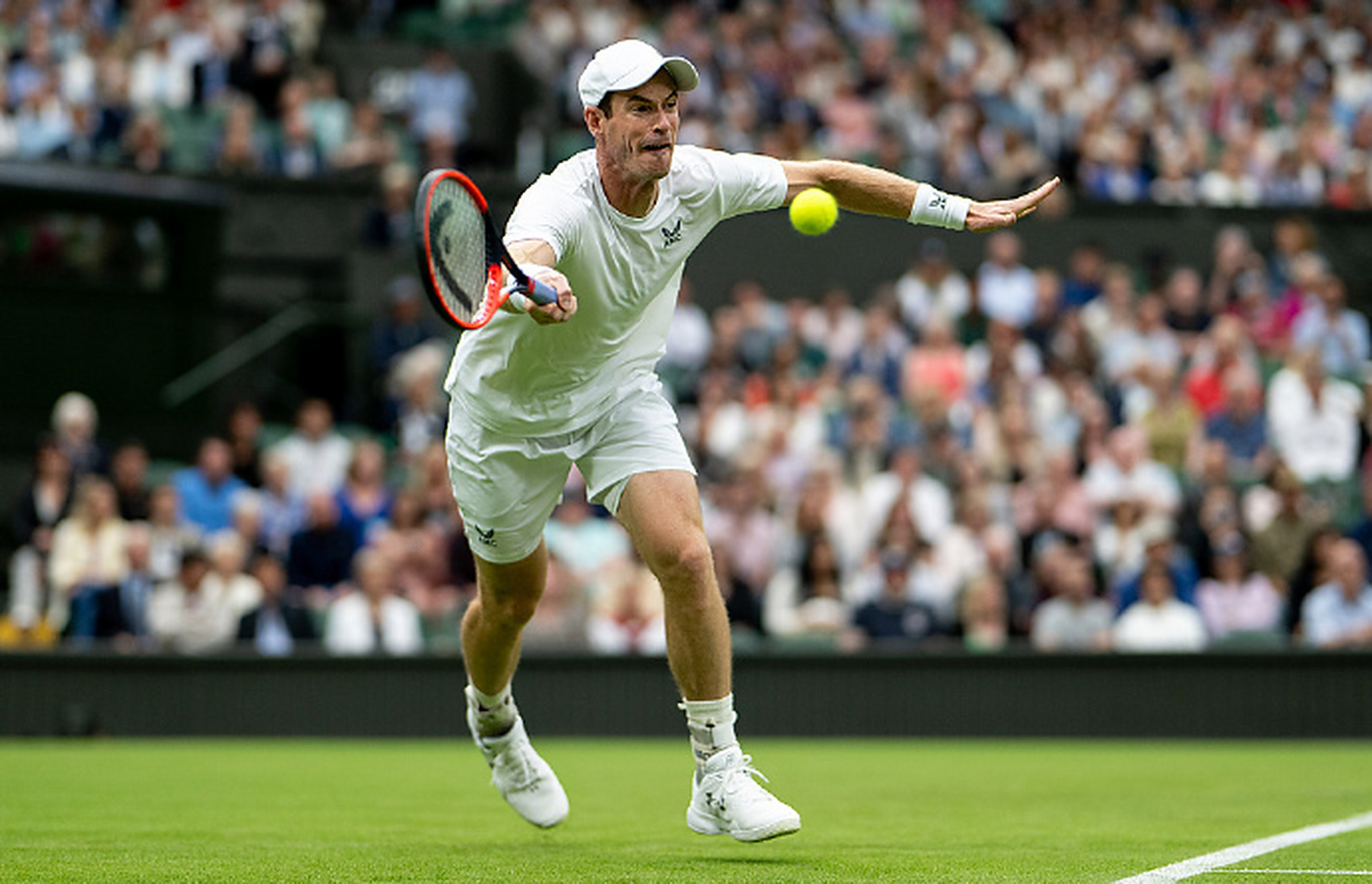 关于澳网完胜戴维斯杯，穆雷刷新纪录的信息