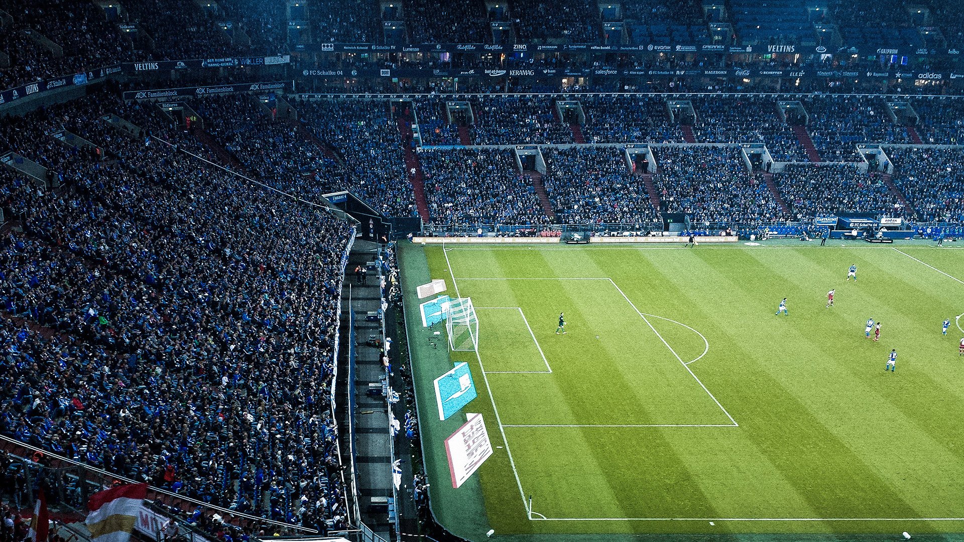 绿茵场与乒乓台的双重奏,葡萄牙横扫瑞典,张继科点燃赛场之夜